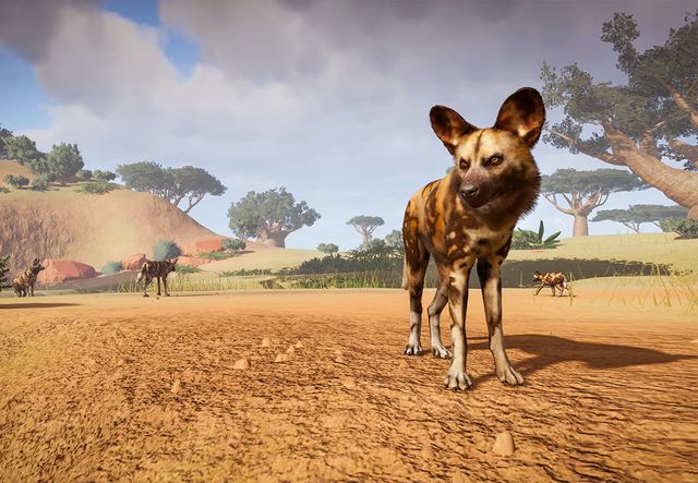 African Wild Dog Planet Zoo Wiki Fandom