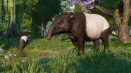 The Malayan Tapir's updated model added in 1.16