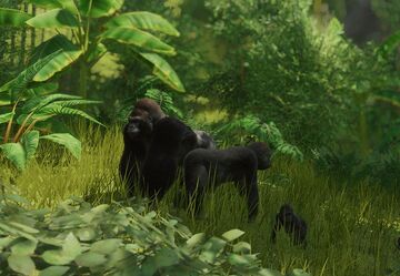 Western Lowland Gorilla | Planet Zoo Wiki | Fandom