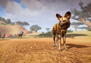 se puede domesticar a un perro salvaje africano