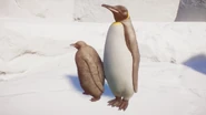BrownMutationKingPenguin.png (493 KB) Brown Mutation King Penguin