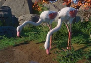 Изображение 2020-11-05 213158.png (542 KB)