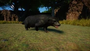 MelanisticHoneyBadger.jpg (1.11 MB) Melanistic Honey Badger