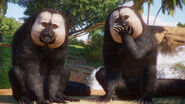 First reveal of the White-faced Saki