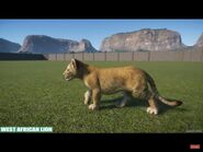 West African Lion | Planet Zoo Wiki | Fandom