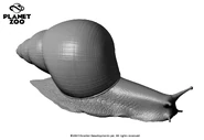 Tom-carruthers-planetzoo-snail-side.jpg (229 KB)