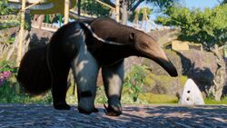 Oso Hormiguero Gigante, Planet Zoo Wiki