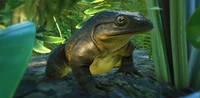 IconGoliathFrog