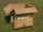 Cardboard Box