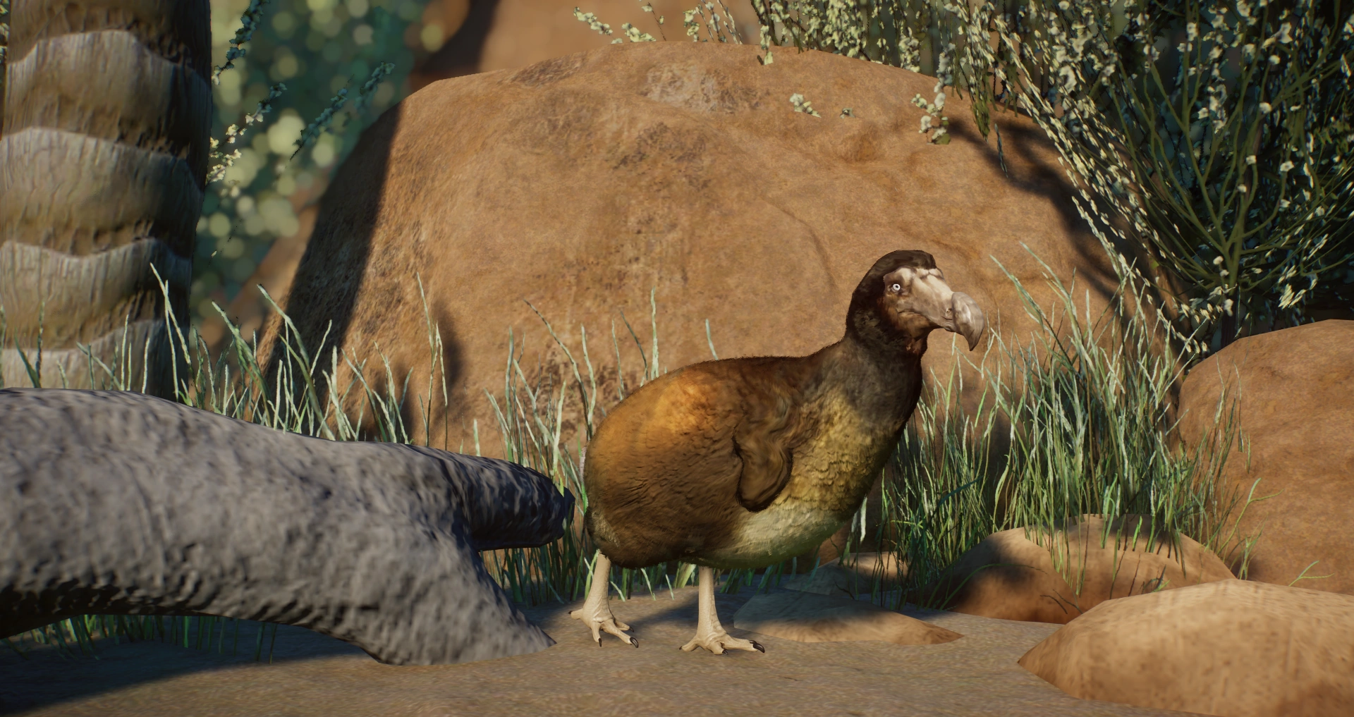 Mauritius Dodo (tntgames999) | Planet Zoo Modding Library Wiki