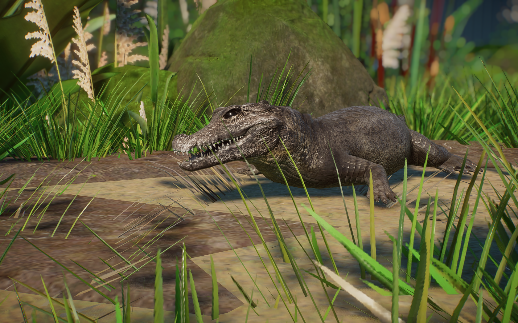 American Alligator, Planet Zoo Wiki