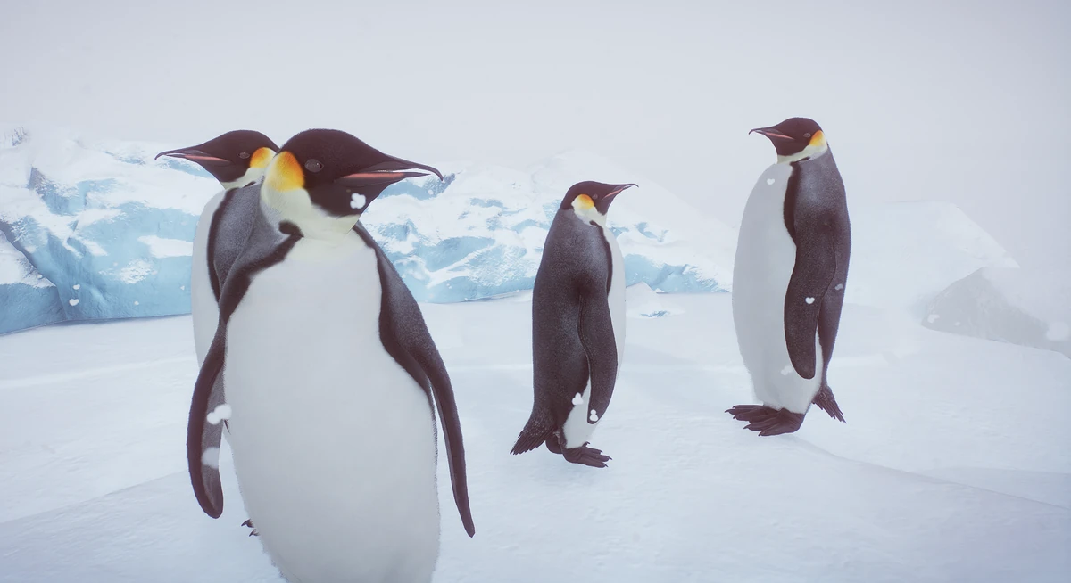 Emperor Penguin (GiornoPizza & Gabboi) | Planet Zoo Modding