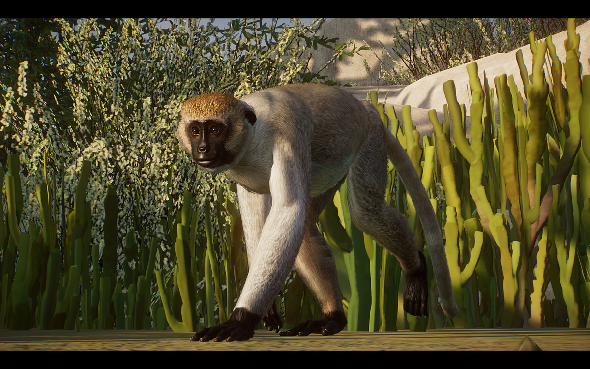 Why Zoo Tycoon Still Has an Advantage Over Planet Zoo