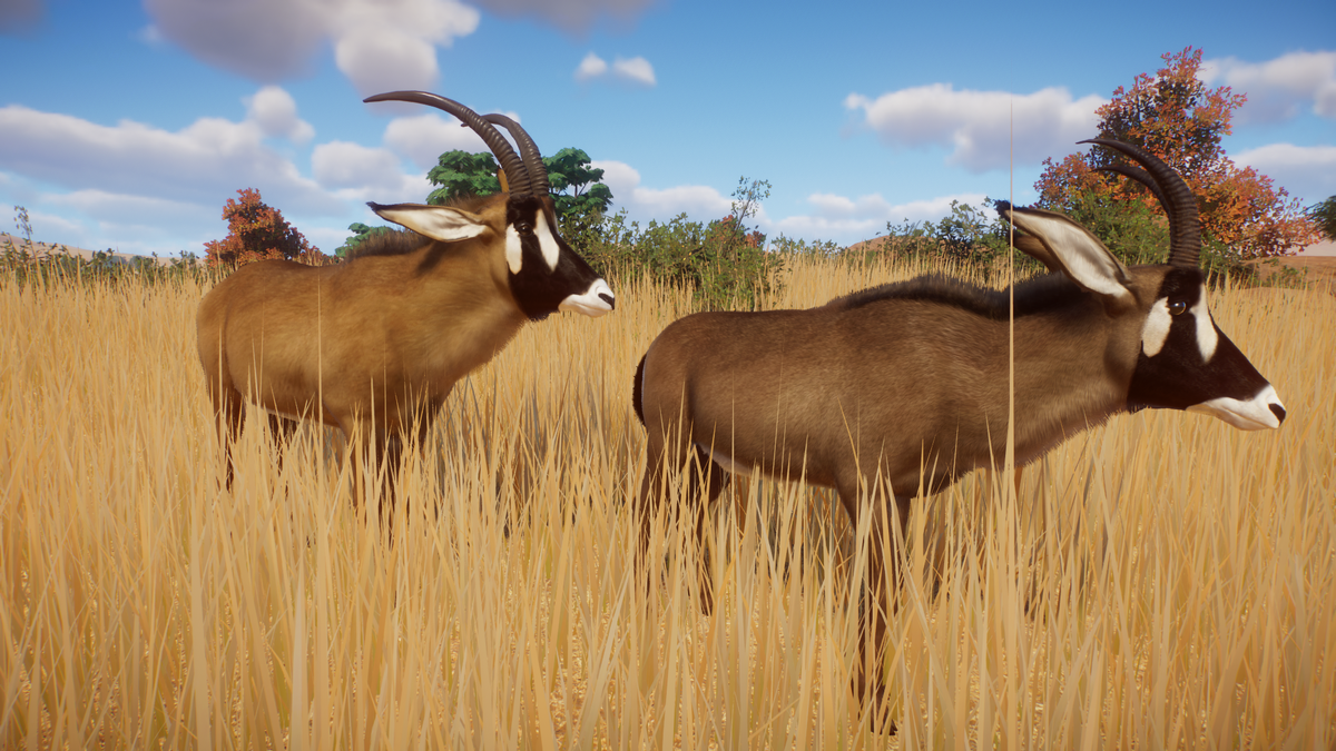 Roan Antelope Bongohardwood Planet Zoo Modding Library Wiki Fandom