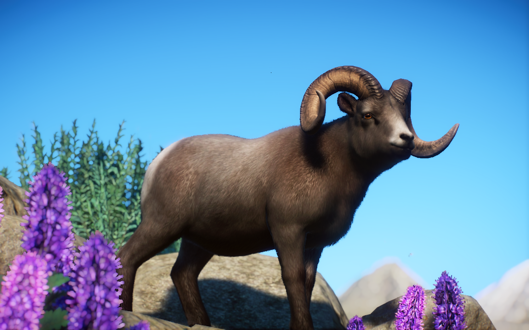 Bighorn Sheep (J2bex & LeafProductions) | Planet Zoo Modding Bighorn Sheep (J2bex & LeafProductions) | Planet Zoo Modding