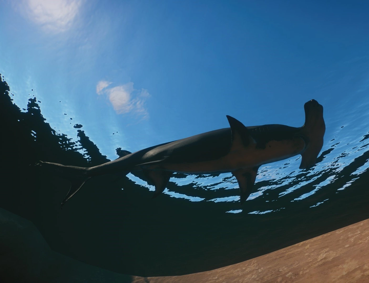 Great Hammerhead Shark (Jer Bot & swaggernagger) | Planet Zoo