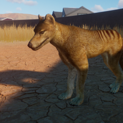 Category:Extinct in the Wild Animals | Planet Zoo Modding Library Wiki |  Fandom
