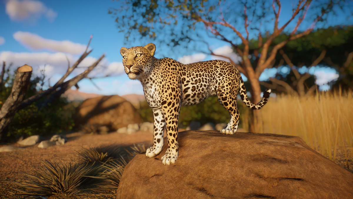 Chouchou léopard  Nature & Découvertes