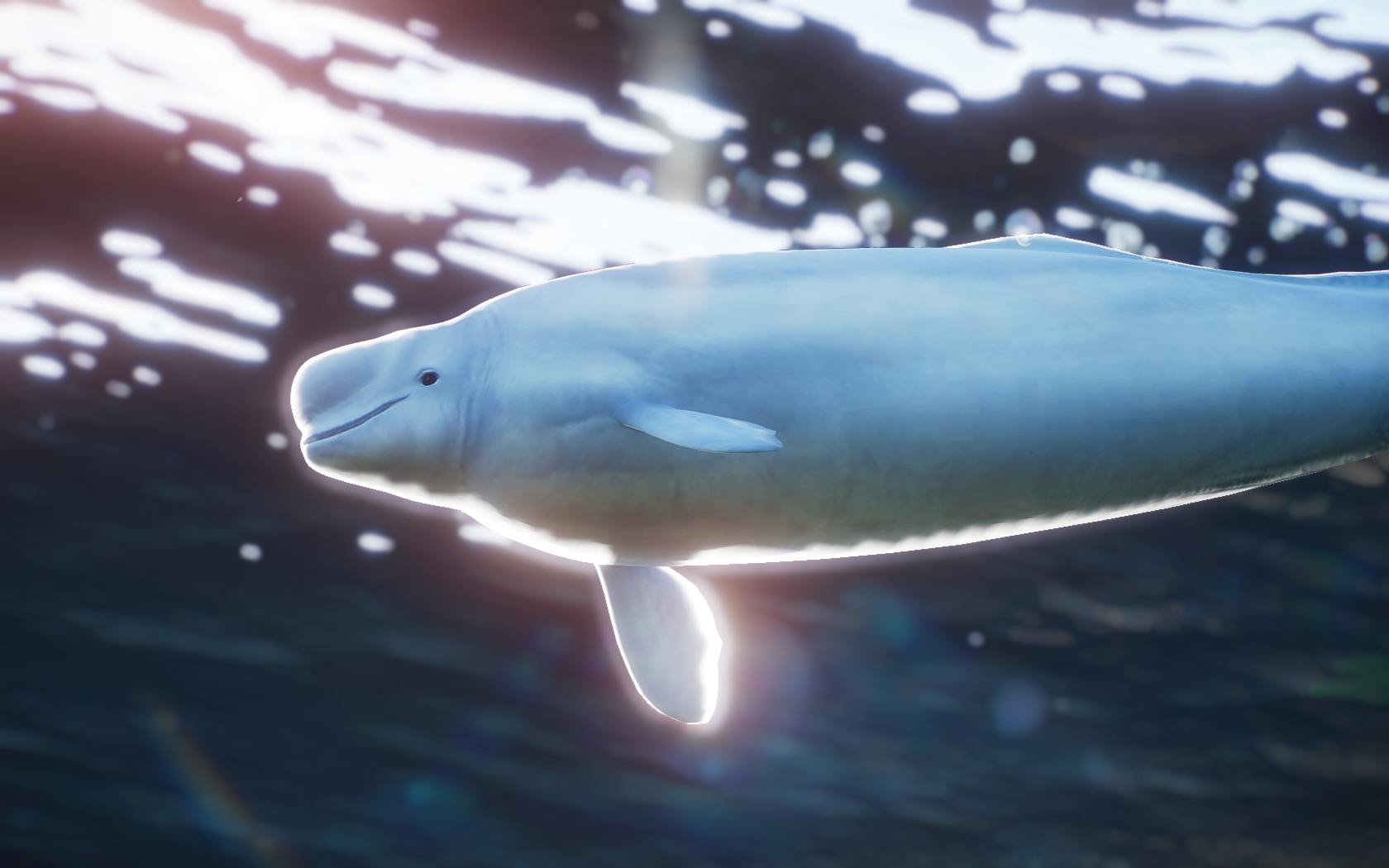 Beluga Whale (ARIKA & LeafProductions) | Planet Zoo Modding