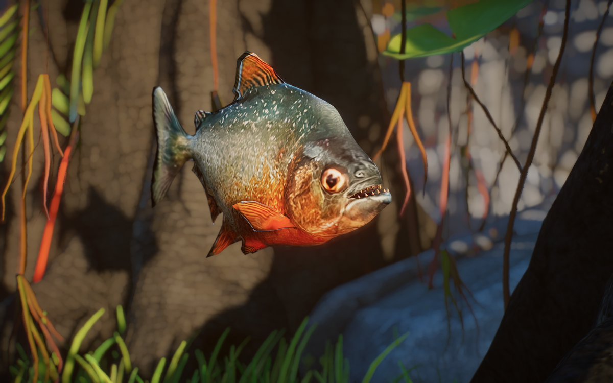 CategoryFish Zoo Modding Library Wiki Fandom