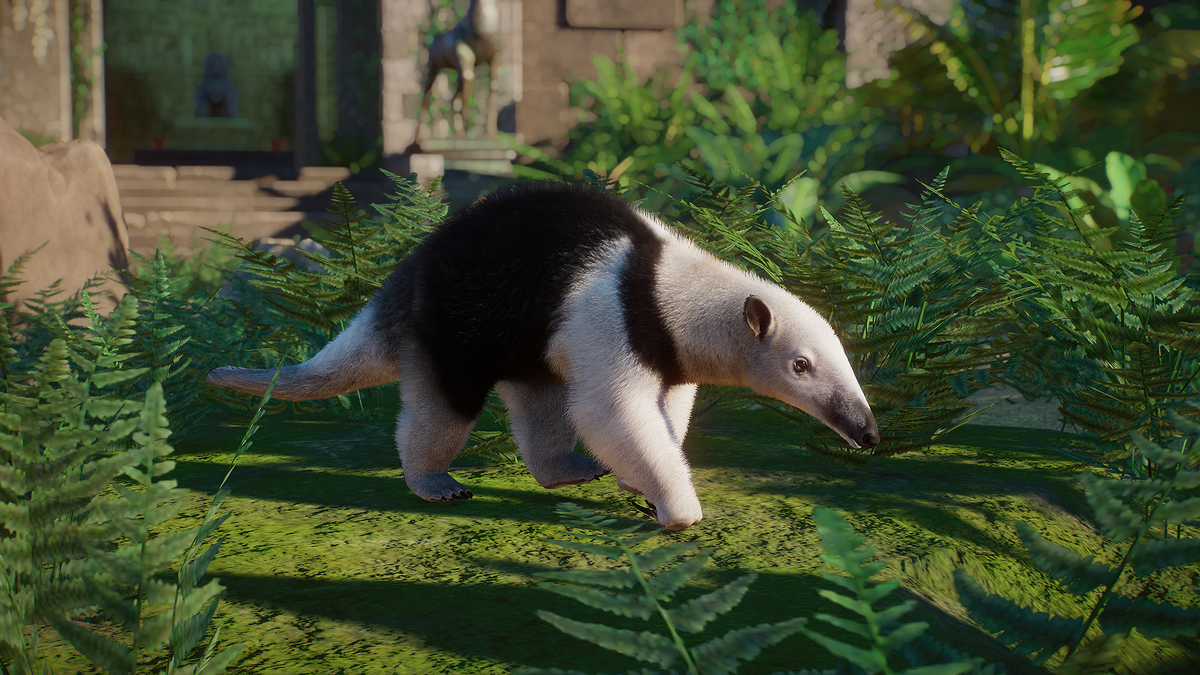 Southern tamandua - Wikipedia