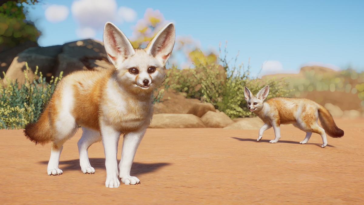 Fennec Fox (bubblywums & LeafProductions) | Planet Zoo Modding Library