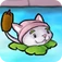 Rabo-de-Gato