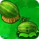 Melancipulta
