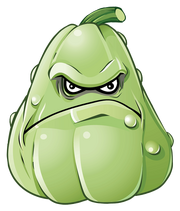 Squash HD