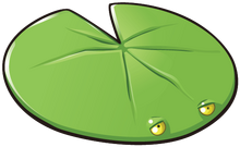 Lilypad