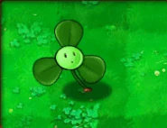 Trouffle animé.gif (163 kio) Trouffle animé