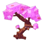 Albero di Sakura