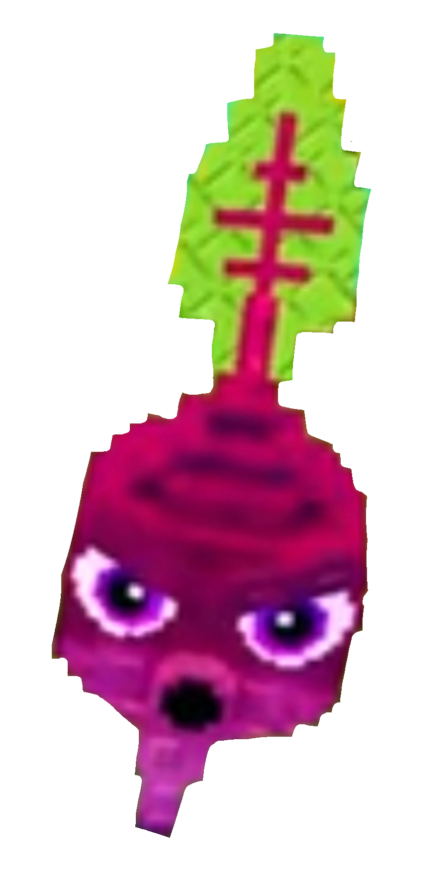 Barbabietola
