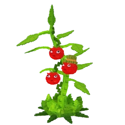 Tomatrio