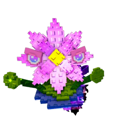 Loto Rosa