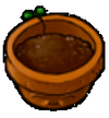 Flower Pot