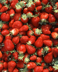 Strawberry - Wikipedia