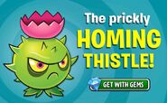 Homing Thistle ad