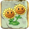 Twin Sunflower2.png (23 КБ) Двойной подсолнух