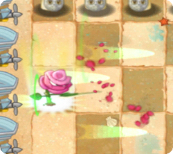 RoseSwordsmanPlantFood.png