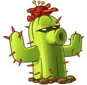 381 cactus
