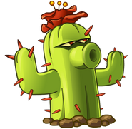 381 cactus
