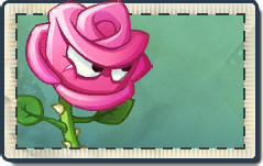 Rose Seed Packet.png