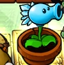 В Саду Дзен в Plants vs. Zombies