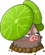 В HD качестве