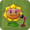 Sunflower Singer2