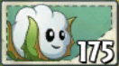 Snow Cotton Seed Packet.png