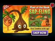 В рекламе растения недели
