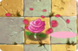 RoseSwordsmanDance.png