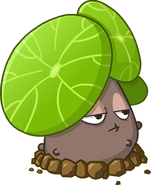 В HD качестве